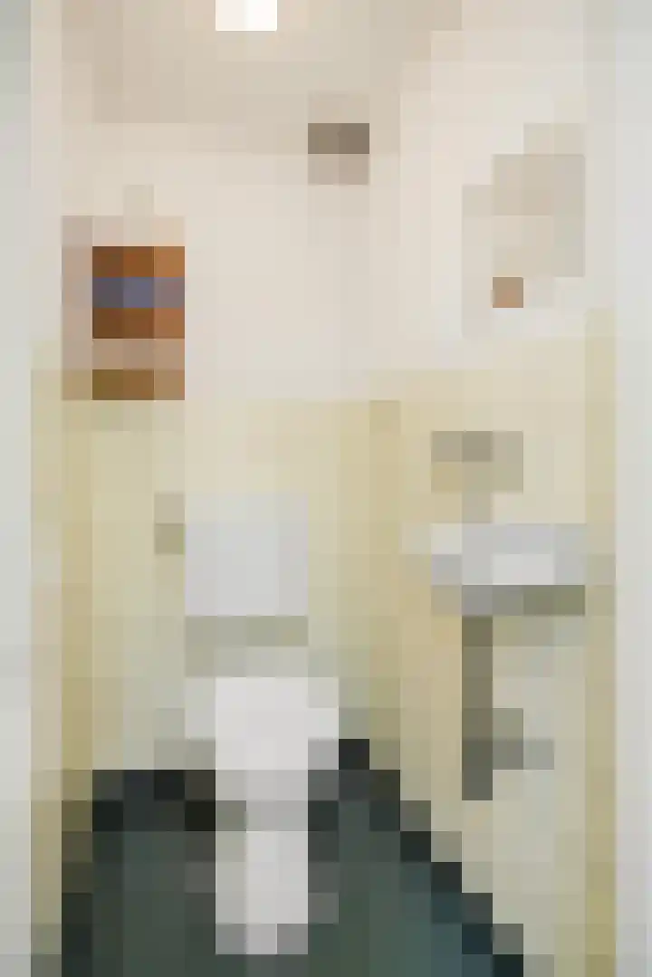 Julianastraat 35 Deurne thumbnail 9