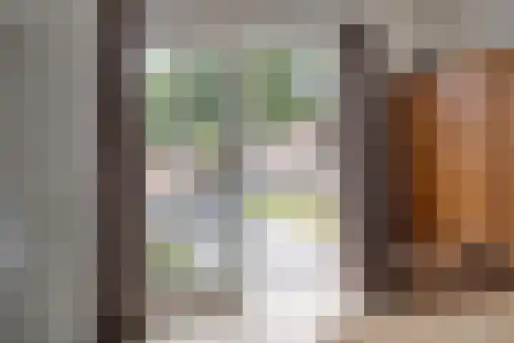 Julianastraat 35 Hoogezand thumbnail 14