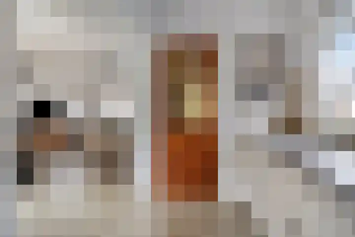 Julianastraat 35 Hoogezand thumbnail 19