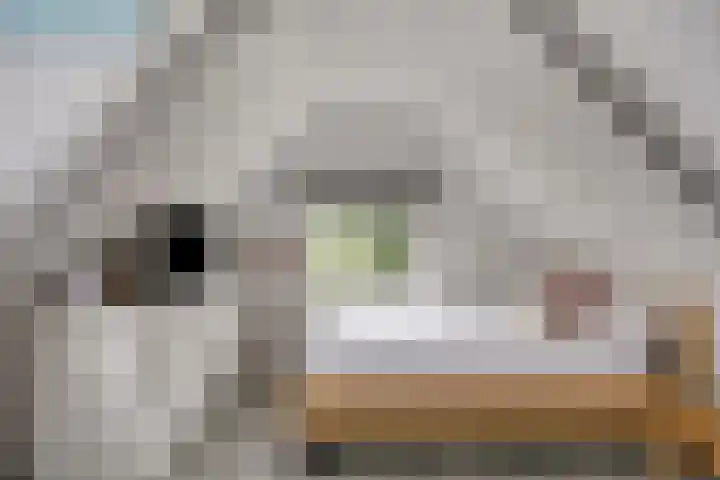 Julianastraat 35 Hoogezand thumbnail 38