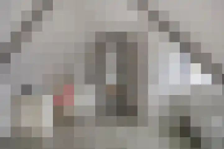 Julianastraat 35 Hoogezand thumbnail 39
