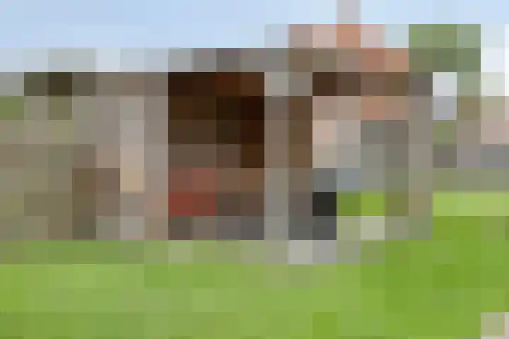 Julianastraat 35 Hoogezand thumbnail 44