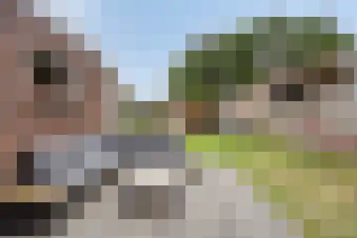 Julianastraat 35 Hoogezand thumbnail 47
