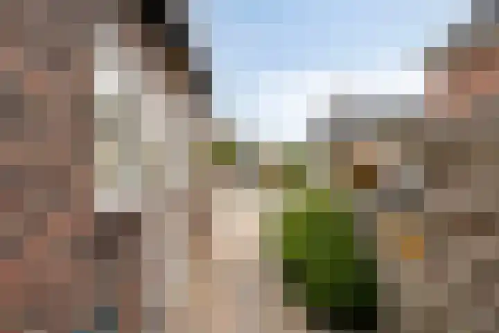 Julianastraat 35 Hoogezand thumbnail 50
