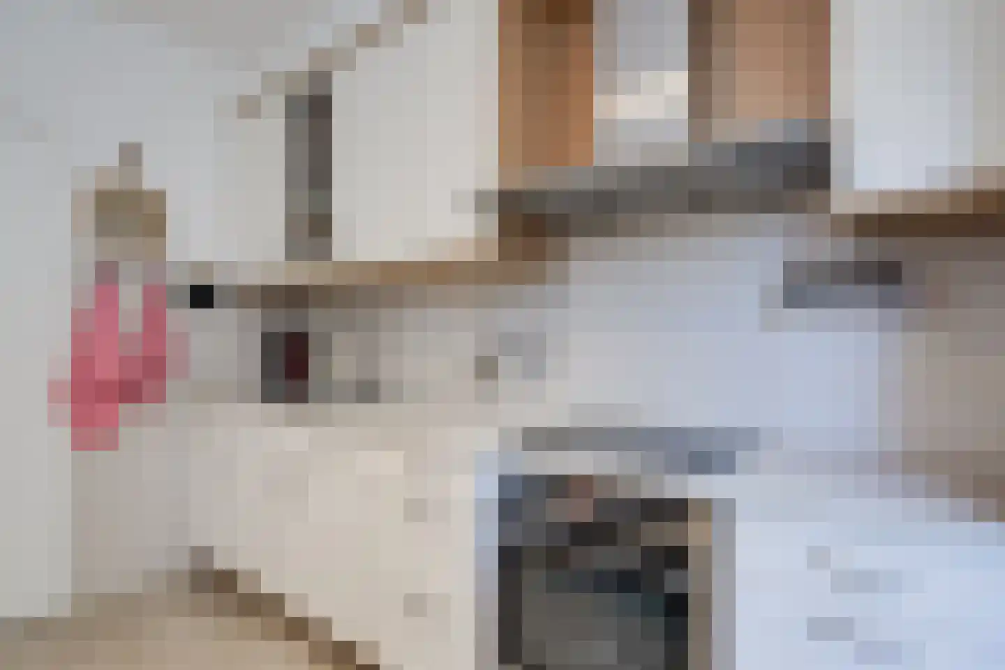 Julianastraat 36 Aalten thumbnail 17