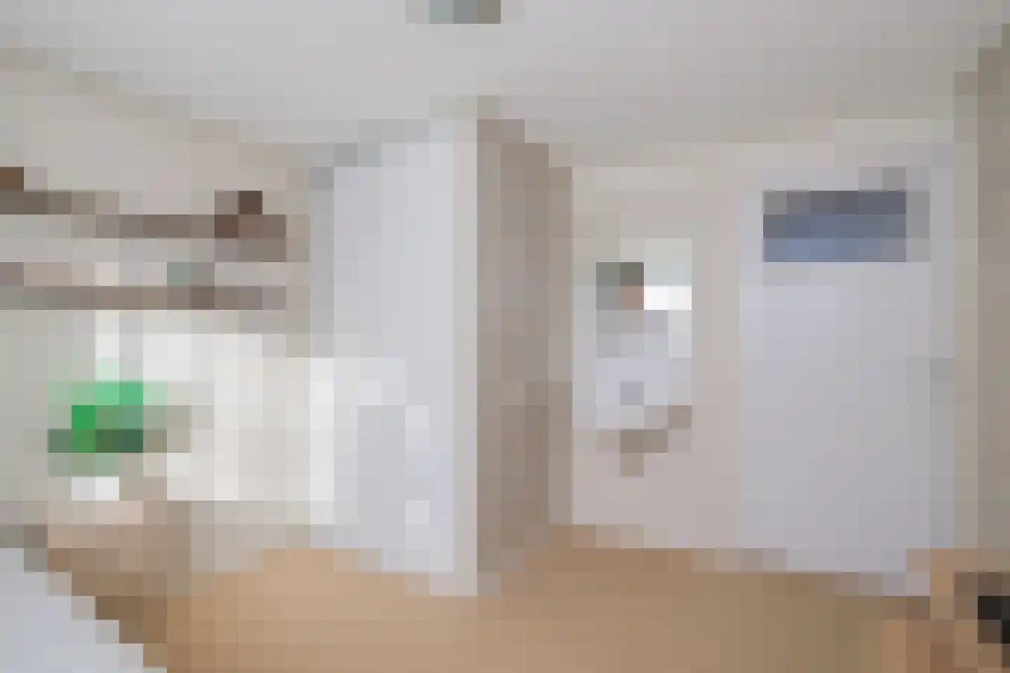 Julianastraat 36 Aalten thumbnail 22