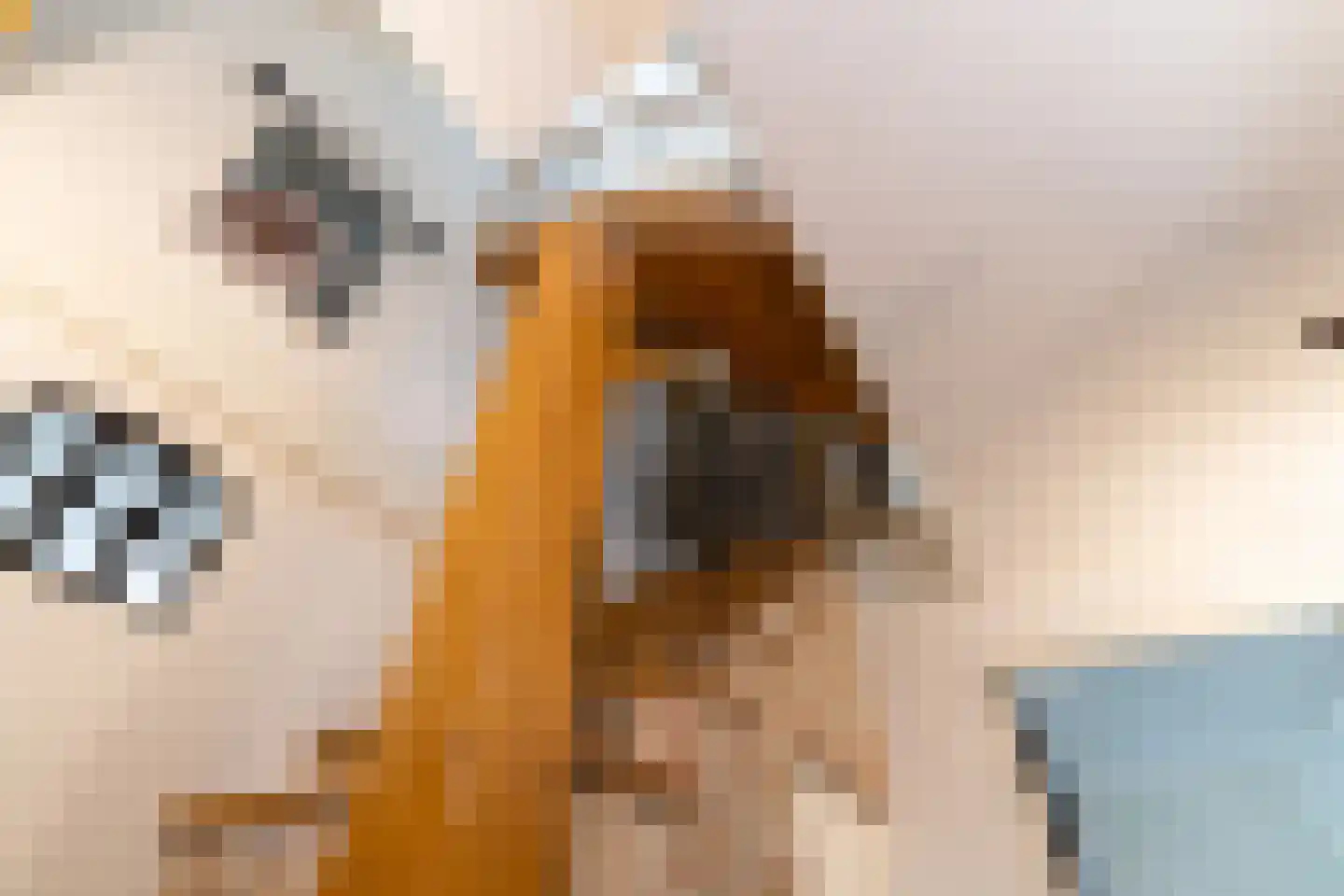 Julianastraat 36 Andel thumbnail 10