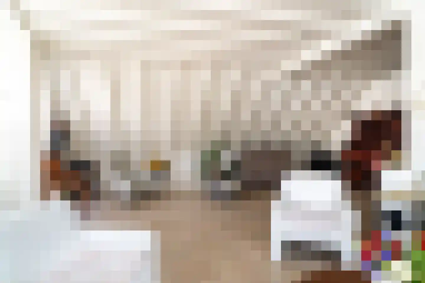 Julianastraat 36 Andel thumbnail 14