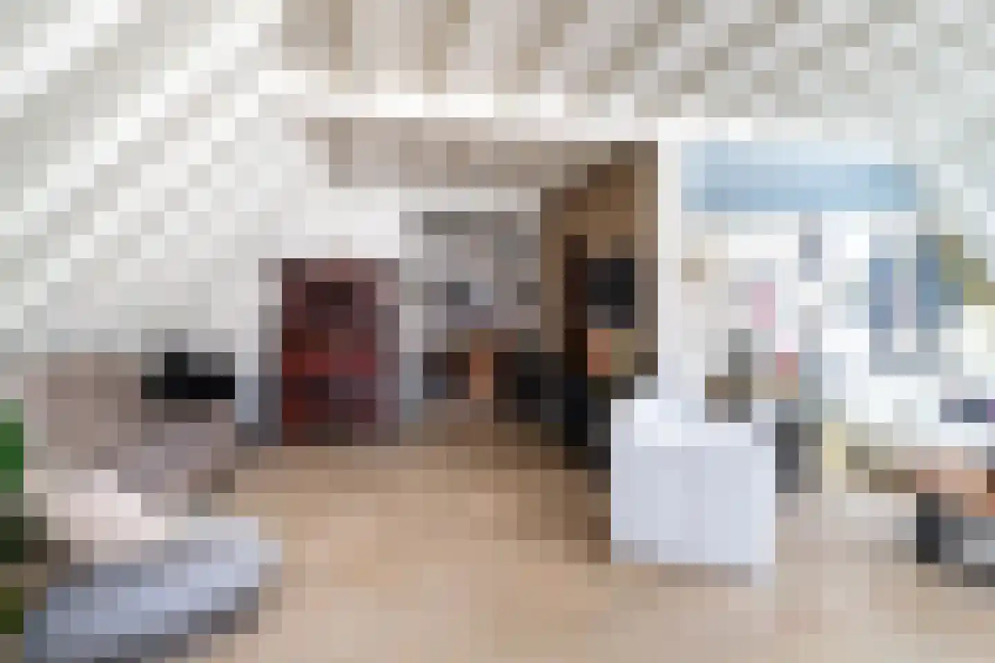 Julianastraat 36 Andel thumbnail 15