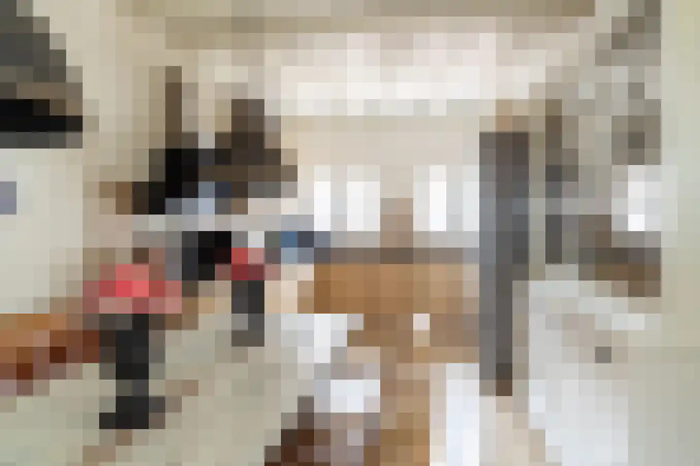 Julianastraat 36 Andel thumbnail 16