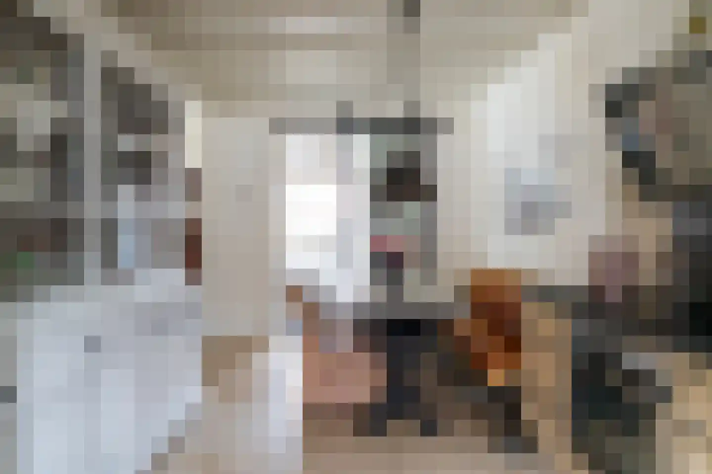 Julianastraat 36 Andel thumbnail 18