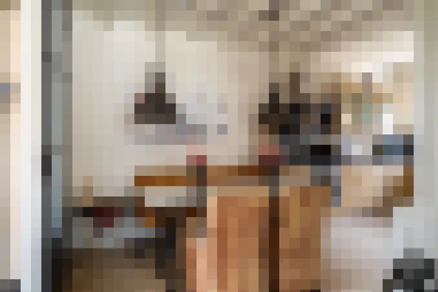 Julianastraat 36 Andel thumbnail 19