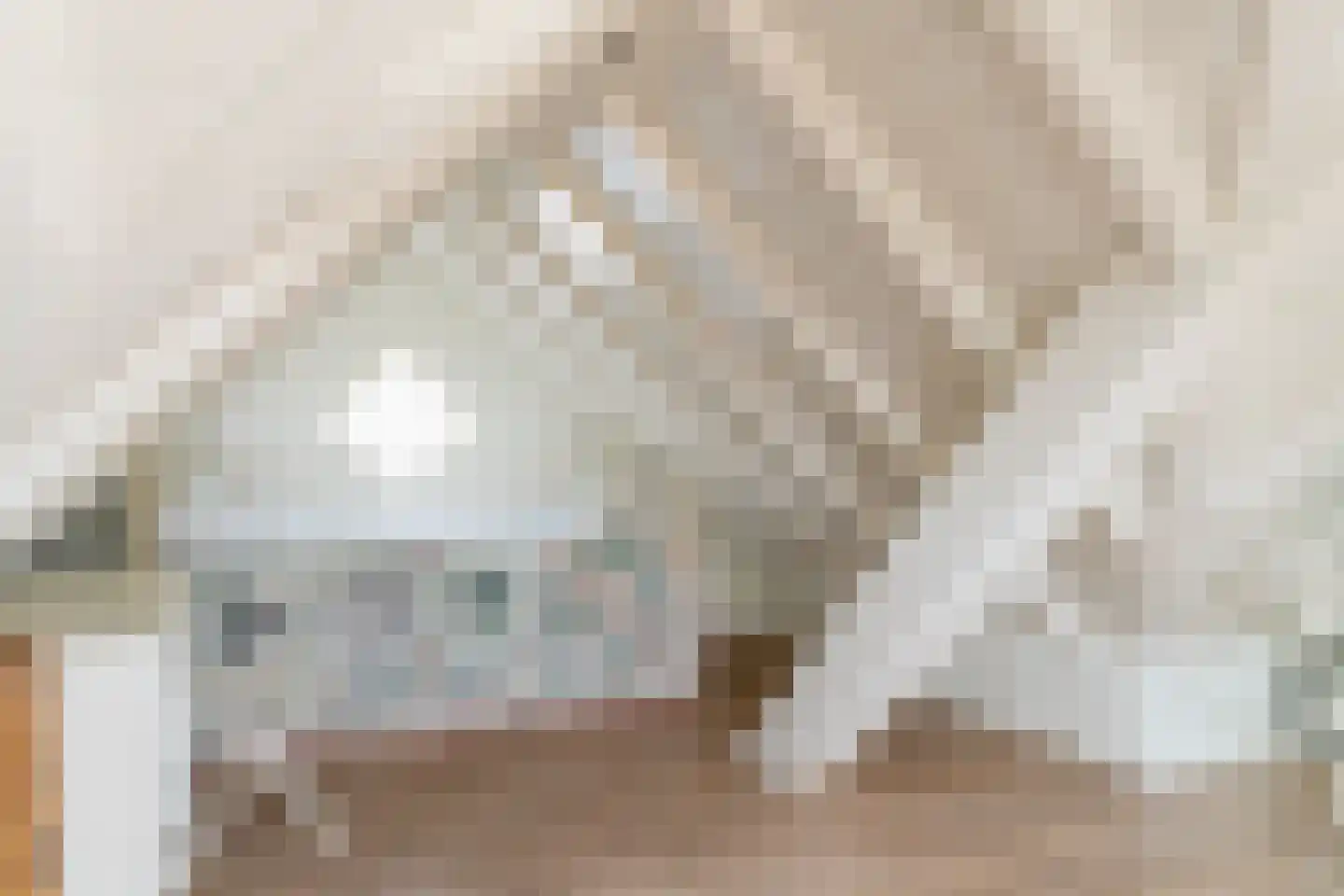 Julianastraat 36 Andel thumbnail 21