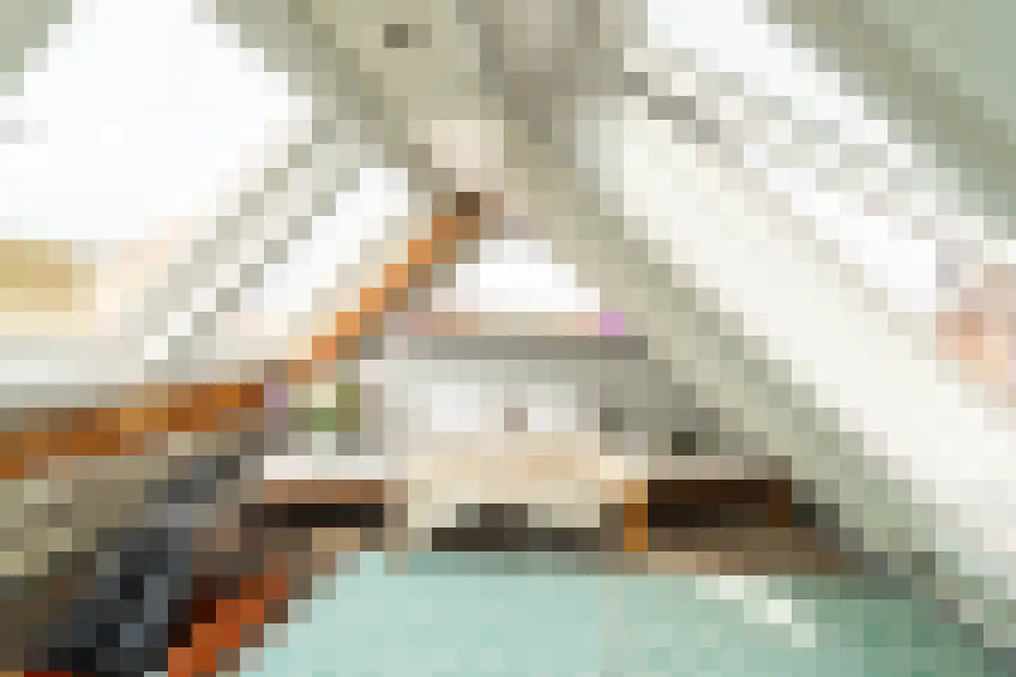 Julianastraat 36 Andel thumbnail 23