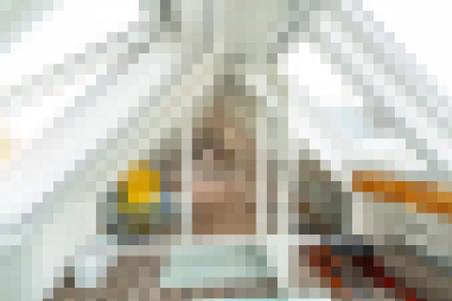 Julianastraat 36 Andel thumbnail 24