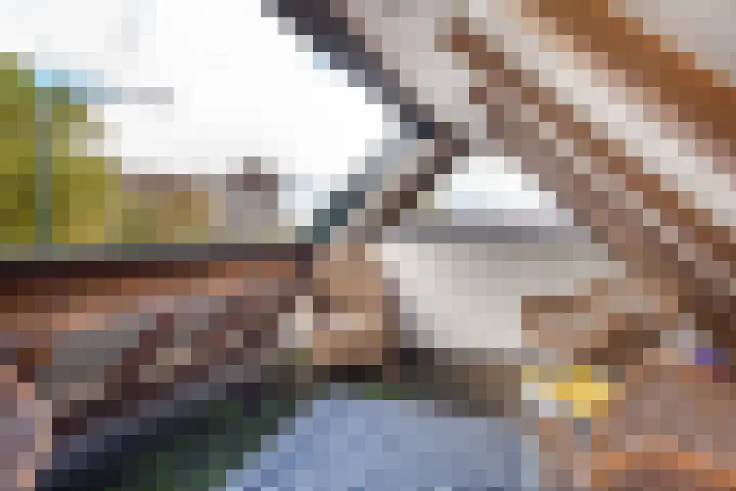 Julianastraat 36 Andel thumbnail 25