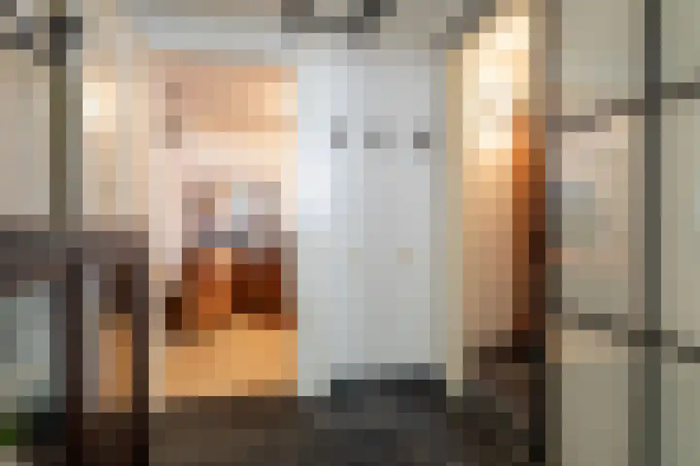 Julianastraat 36 Andel thumbnail 28