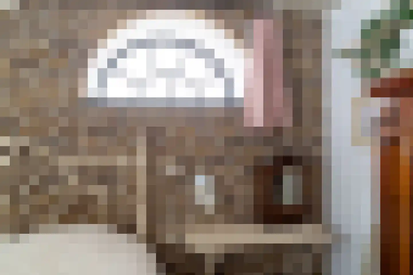Julianastraat 36 Andel thumbnail 31
