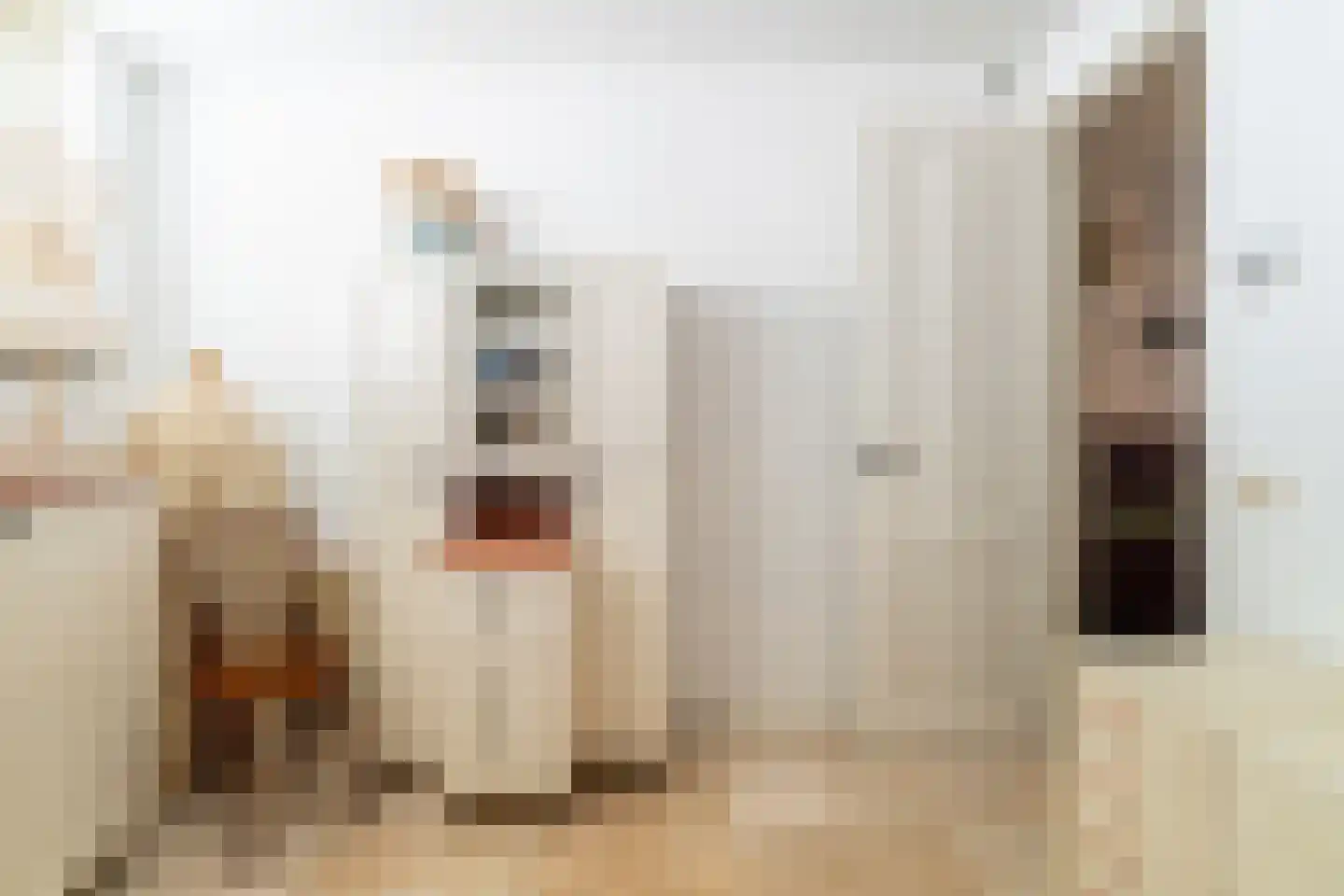 Julianastraat 36 Andel thumbnail 34