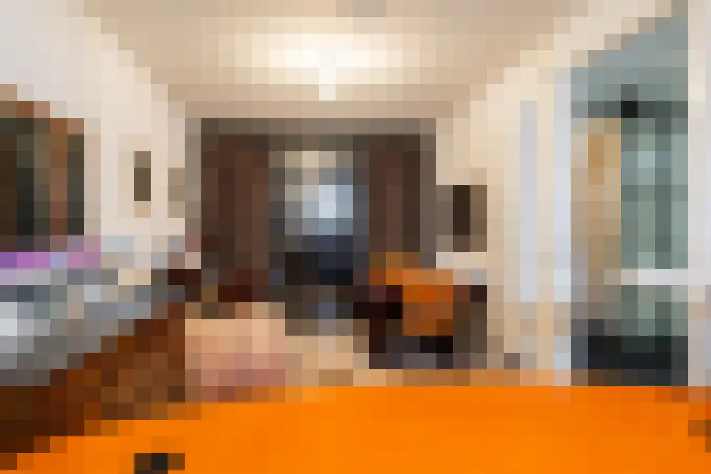 Julianastraat 36 Andel thumbnail 36