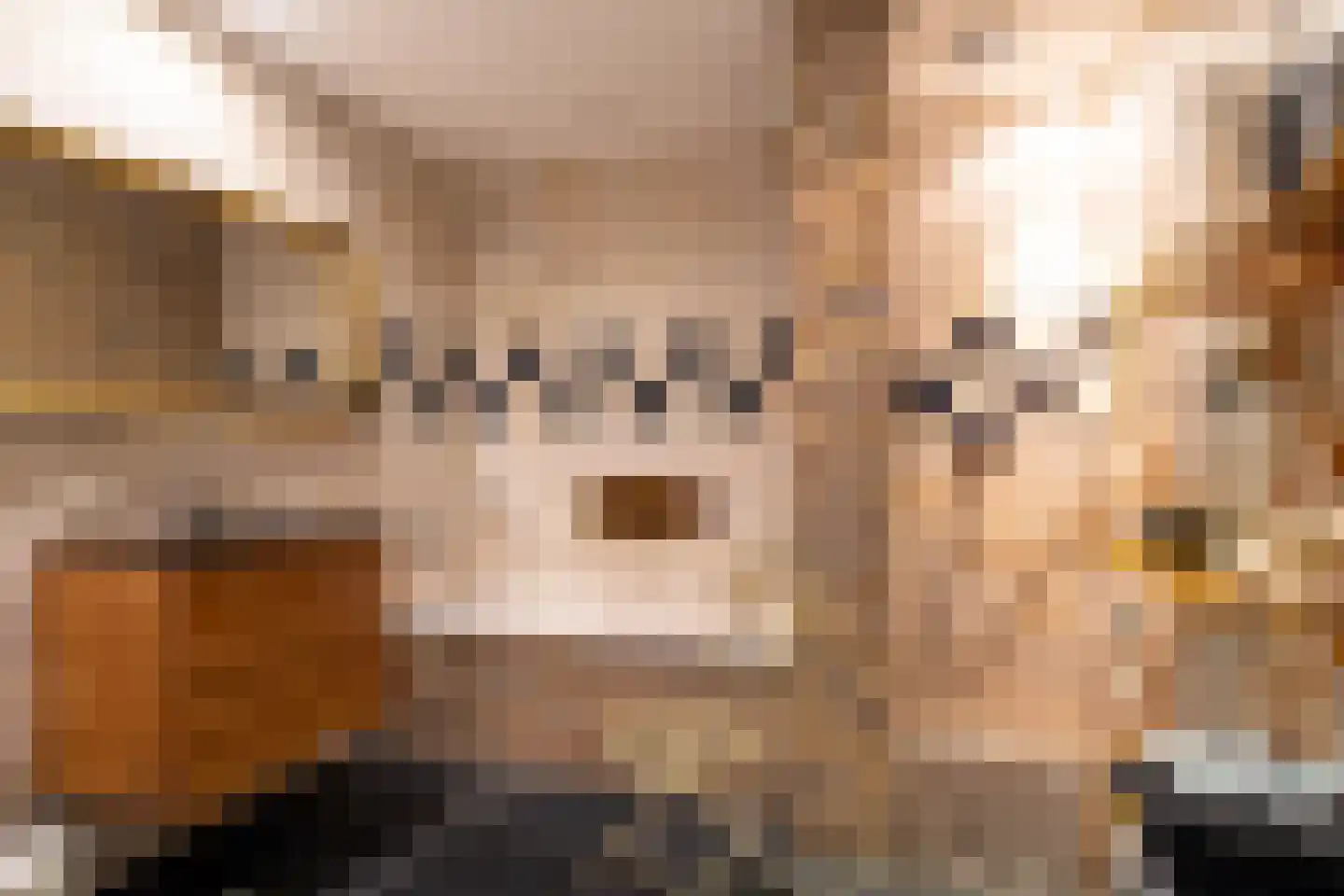 Julianastraat 36 Andel thumbnail 37