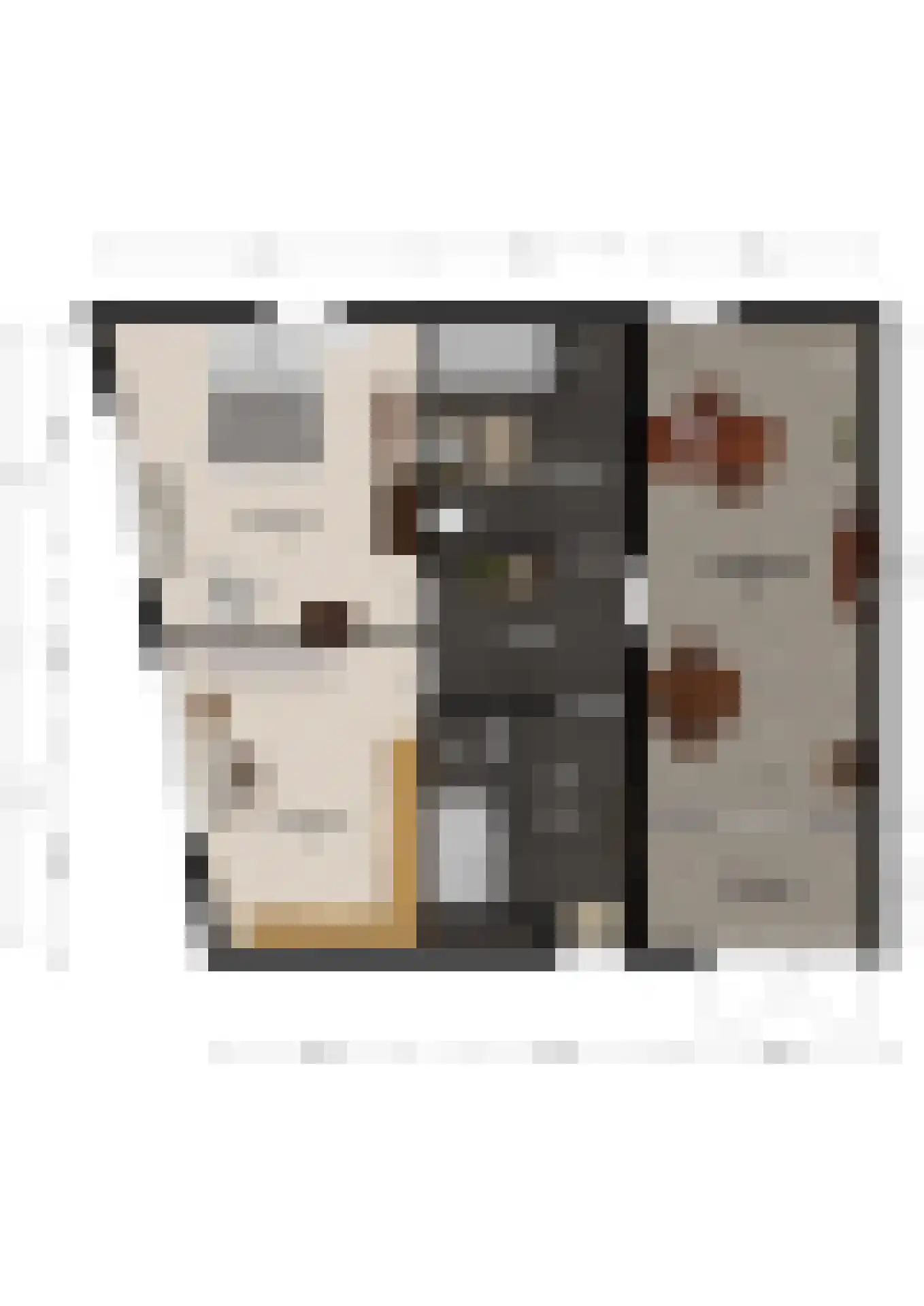 Julianastraat 36 Andel thumbnail 39
