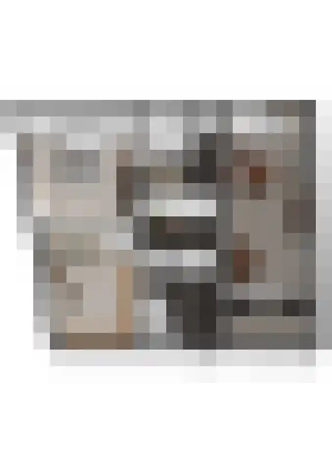Julianastraat 36 Andel thumbnail 40