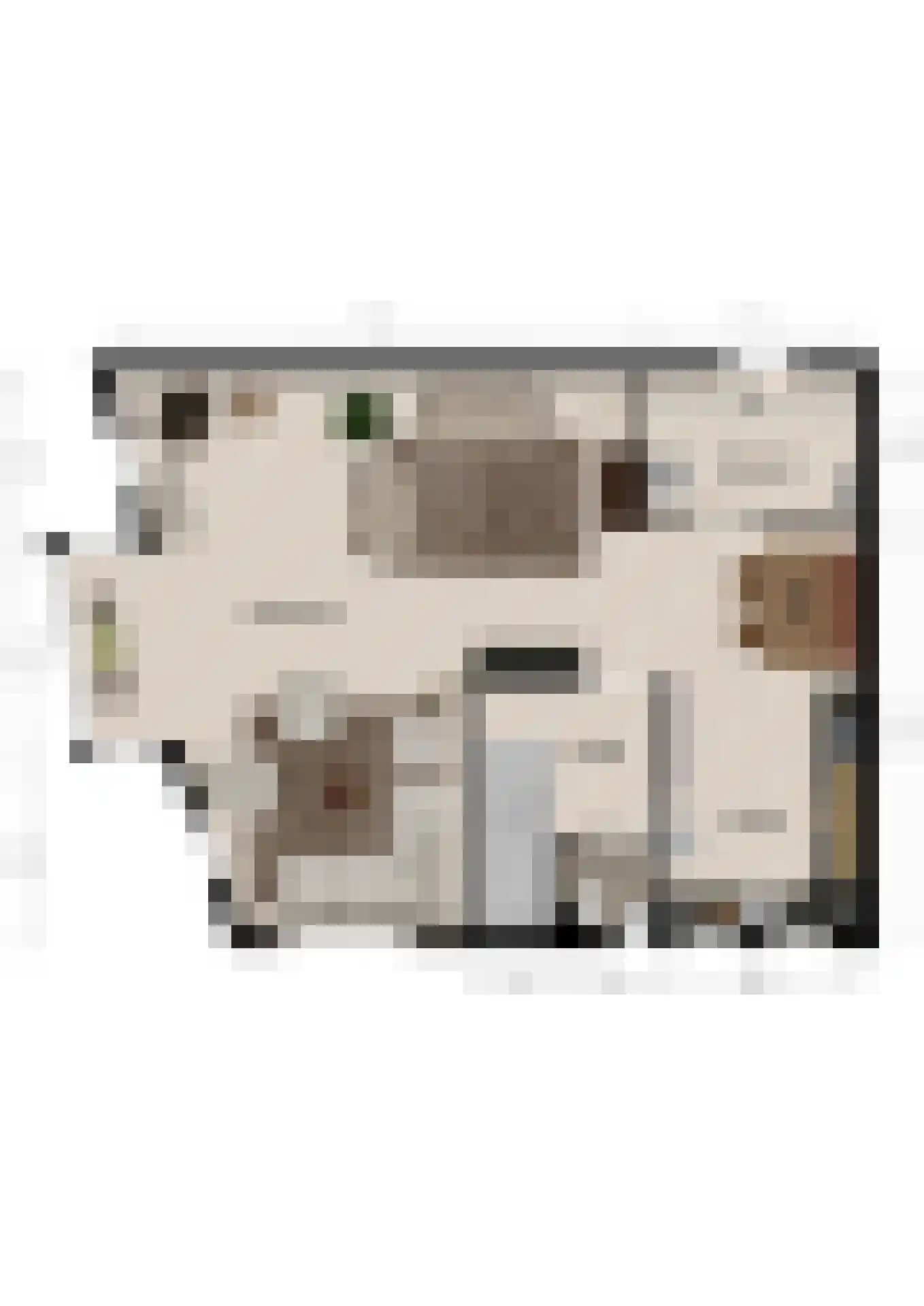 Julianastraat 36 Andel thumbnail 41