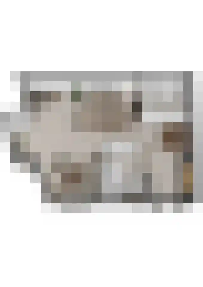 Julianastraat 36 Andel thumbnail 42