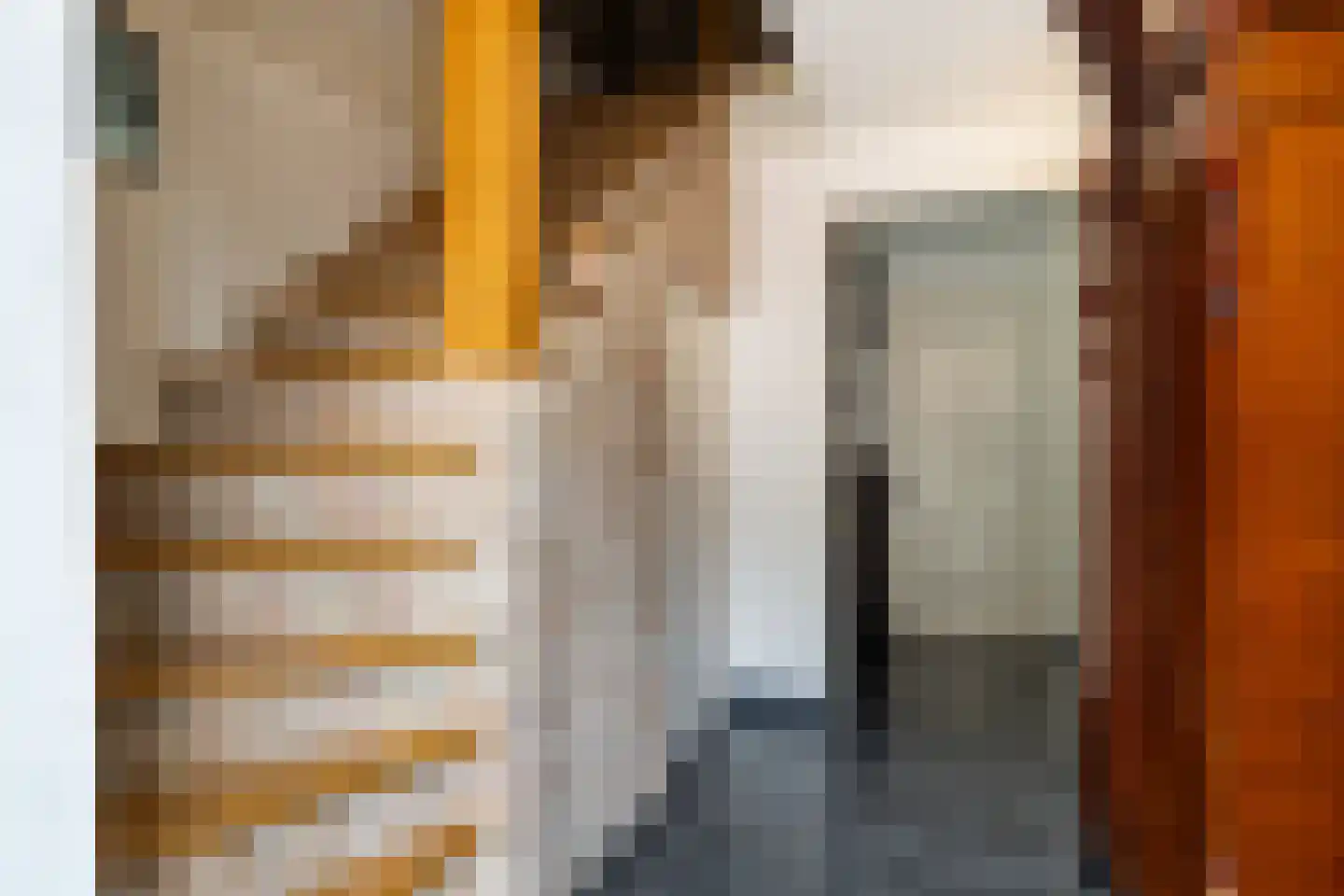 Julianastraat 36 Andel thumbnail 9