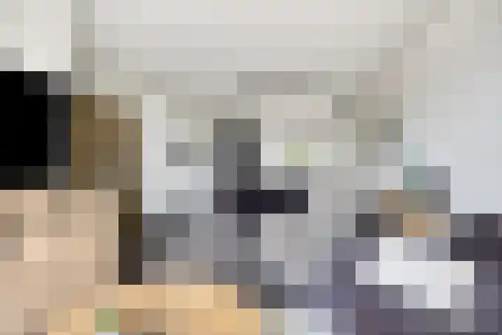 Julianastraat 36 E Berghem thumbnail 11
