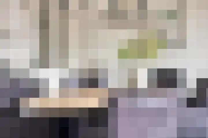Julianastraat 36 E Berghem thumbnail 13