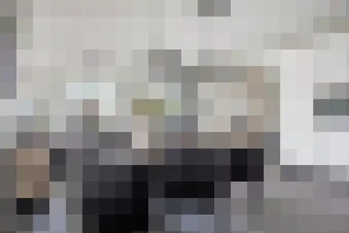 Julianastraat 36 E Berghem thumbnail 15
