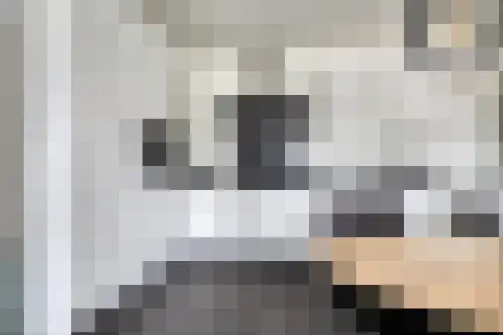 Julianastraat 36 E Berghem thumbnail 16