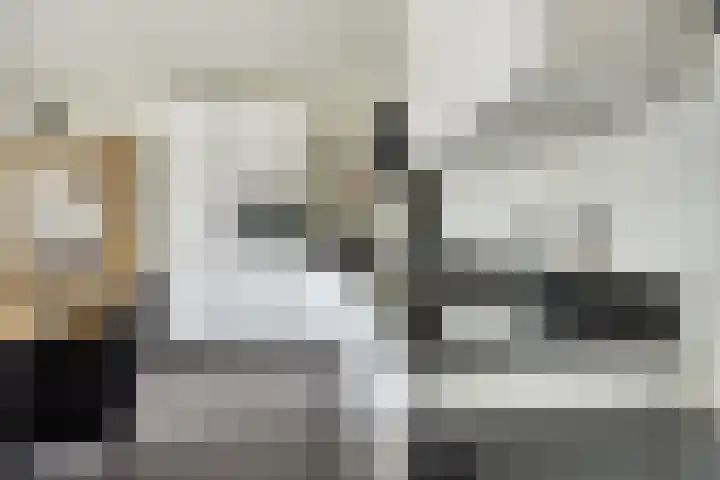 Julianastraat 36 E Berghem thumbnail 17