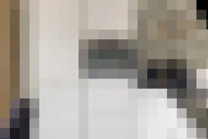 Julianastraat 36 E Berghem thumbnail 18