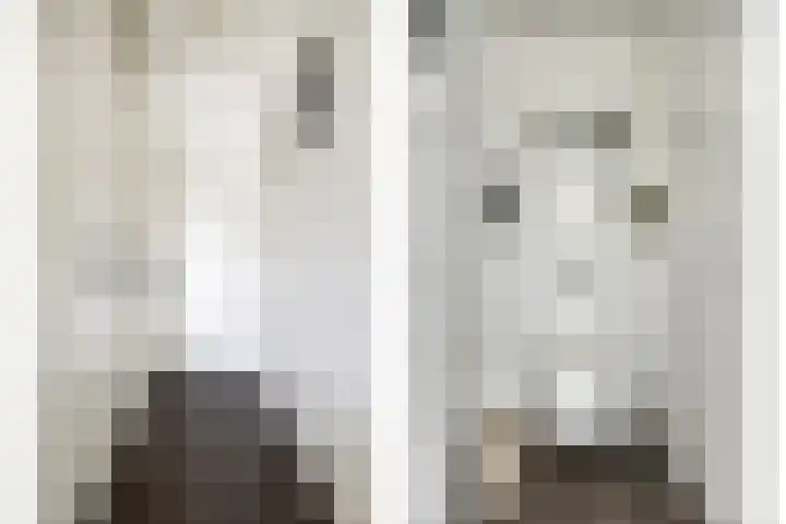 Julianastraat 36 E Berghem thumbnail 19