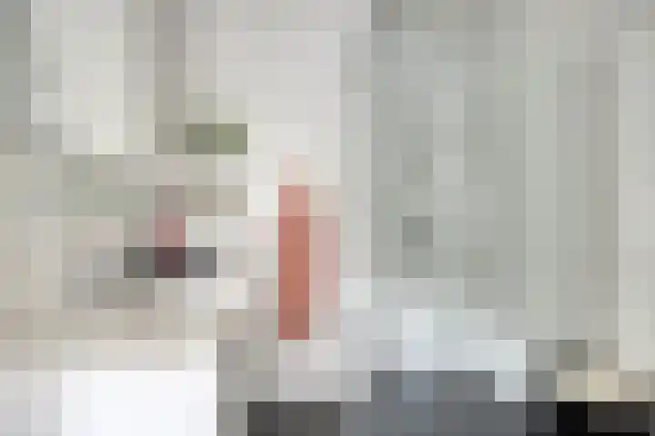 Julianastraat 36 E Berghem thumbnail 20