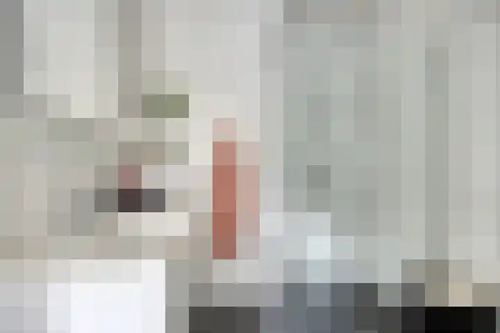 Julianastraat 36 E Berghem thumbnail 21