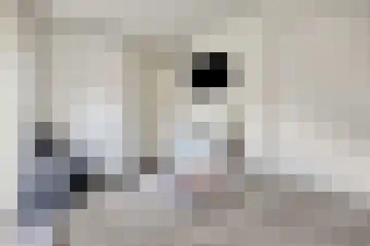 Julianastraat 36 E Berghem thumbnail 23