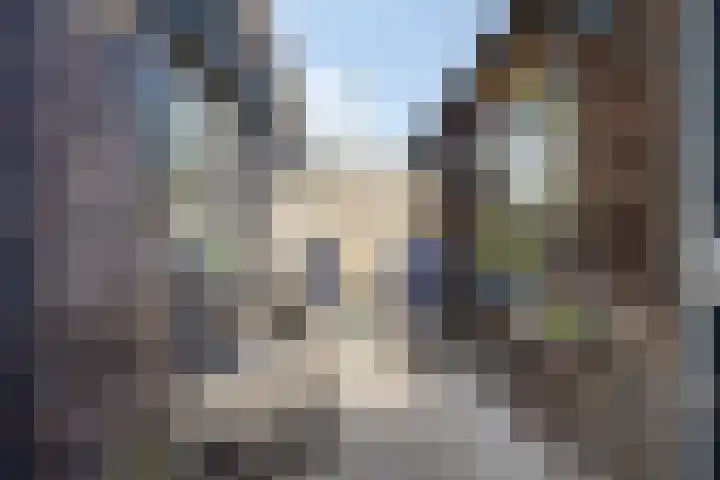 Julianastraat 36 E Berghem thumbnail 24