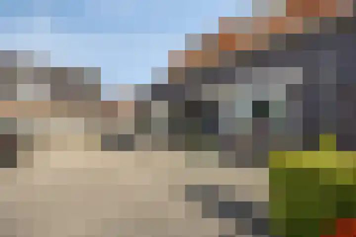 Julianastraat 36 E Berghem thumbnail 27
