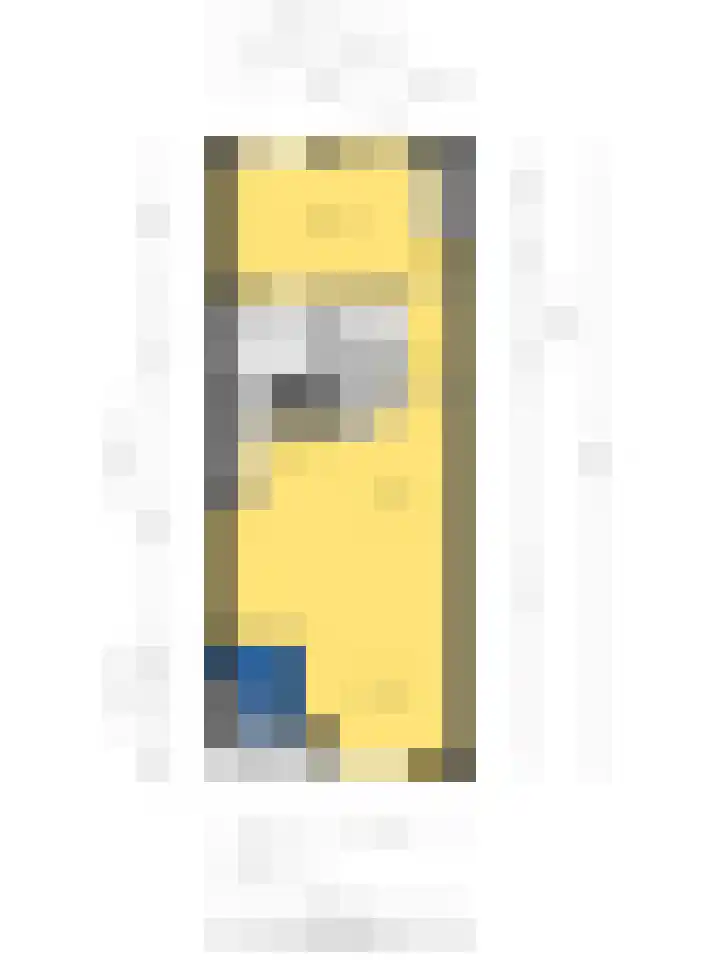 Julianastraat 36 E Berghem thumbnail 31