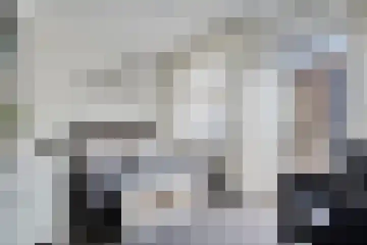Julianastraat 36 E Berghem thumbnail 4