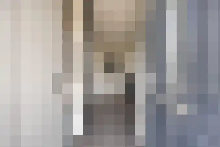 Julianastraat 36 E Berghem thumbnail 7