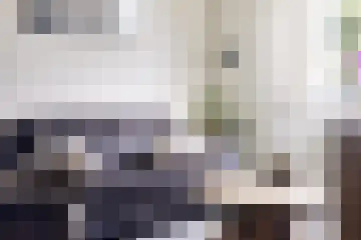Julianastraat 36 E Berghem thumbnail 9