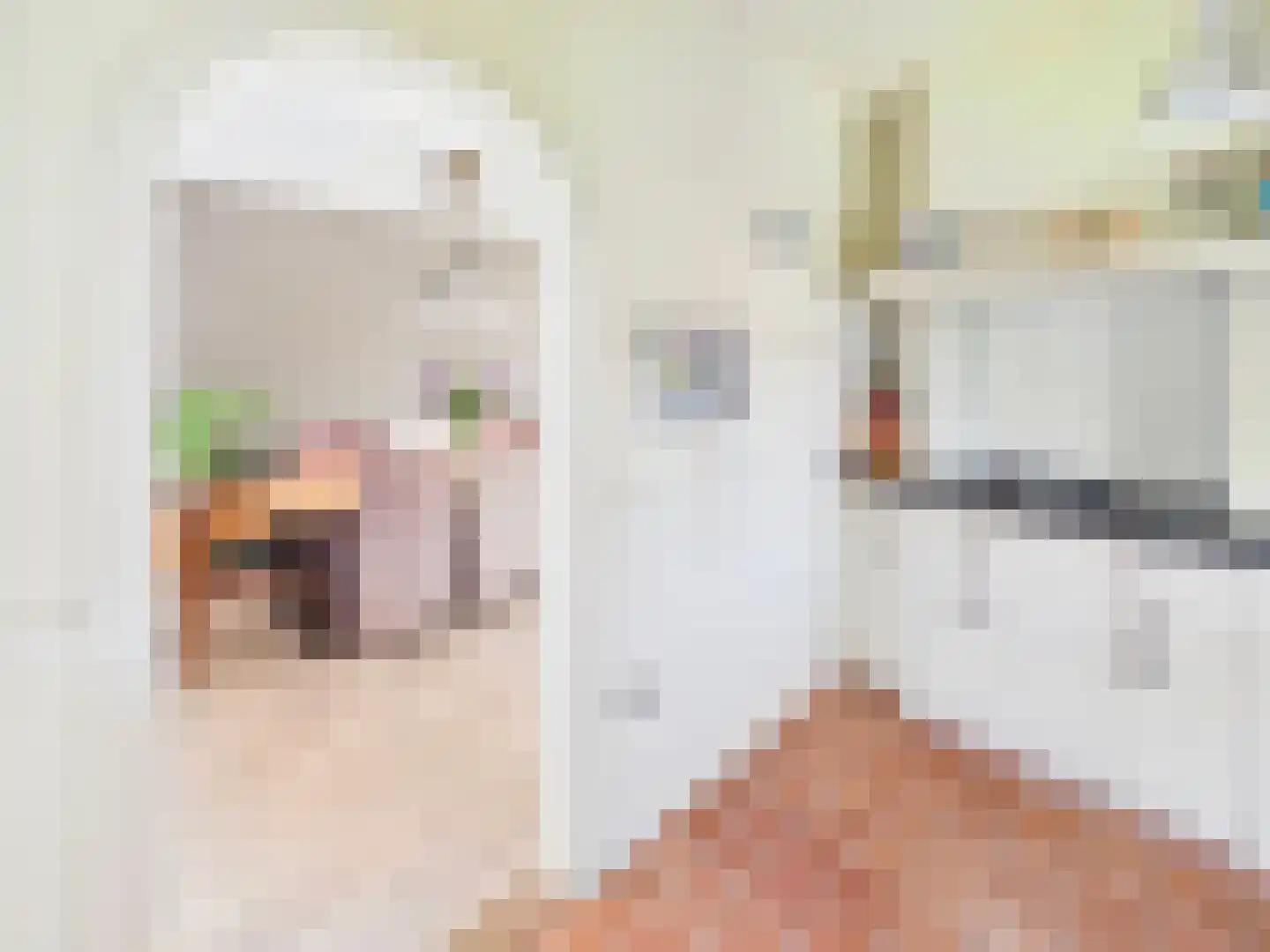 Julianastraat 36 Hoek thumbnail 10