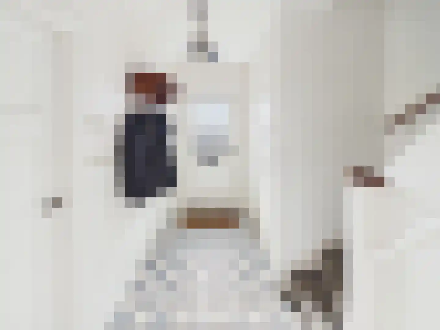 Julianastraat 36 Hoek thumbnail 14