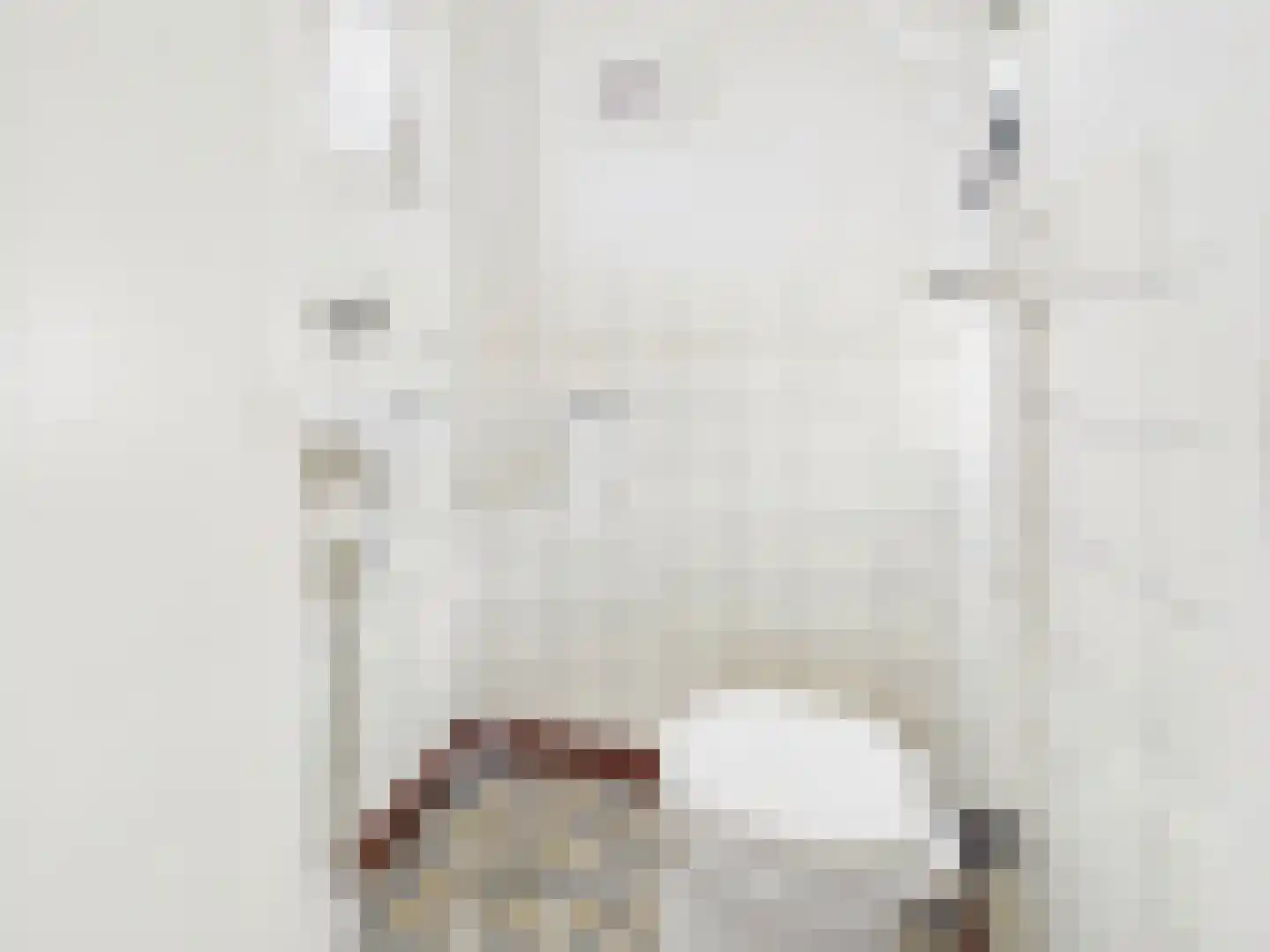 Julianastraat 36 Hoek thumbnail 15