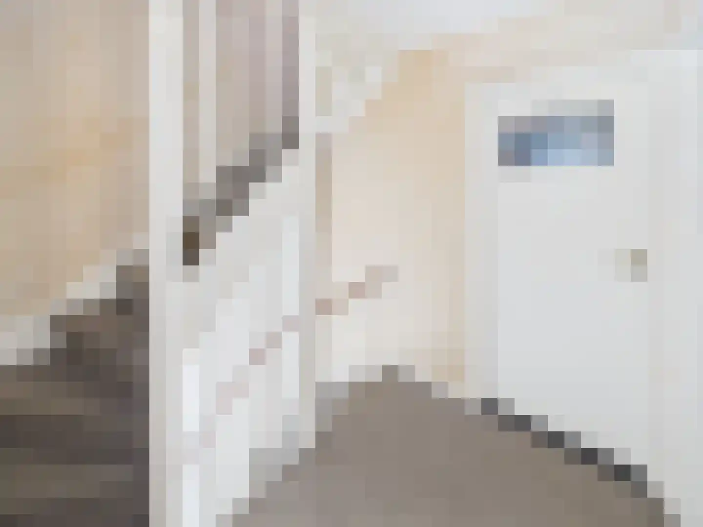 Julianastraat 36 Hoek thumbnail 17